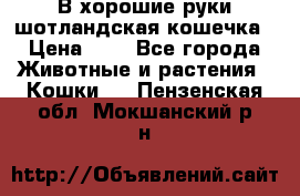В хорошие руки шотландская кошечка › Цена ­ 7 - Все города Животные и растения » Кошки   . Пензенская обл.,Мокшанский р-н